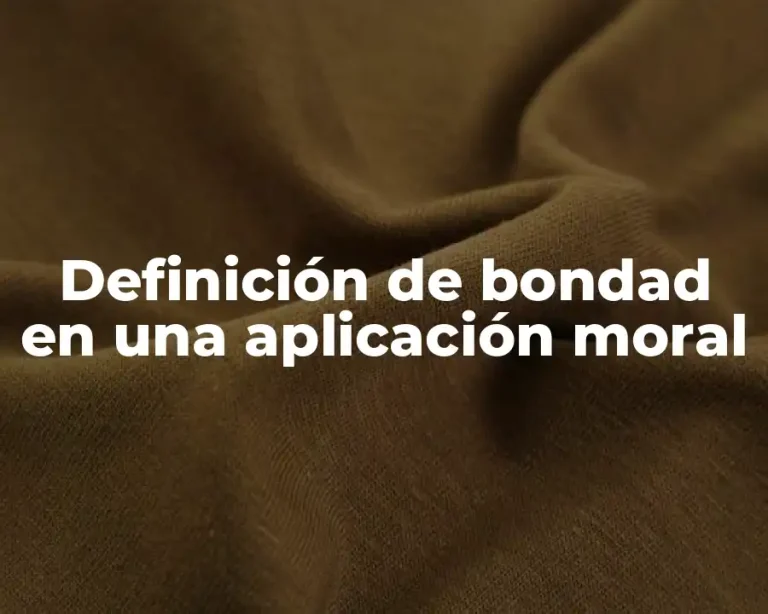 Definición de bondad en una aplicación moral