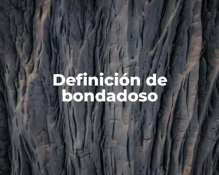 Definición de bondadoso