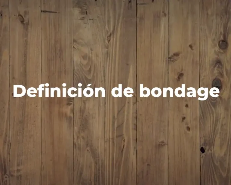 Definición de bondage