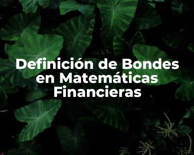 Definición de Bondes en Matemáticas Financieras