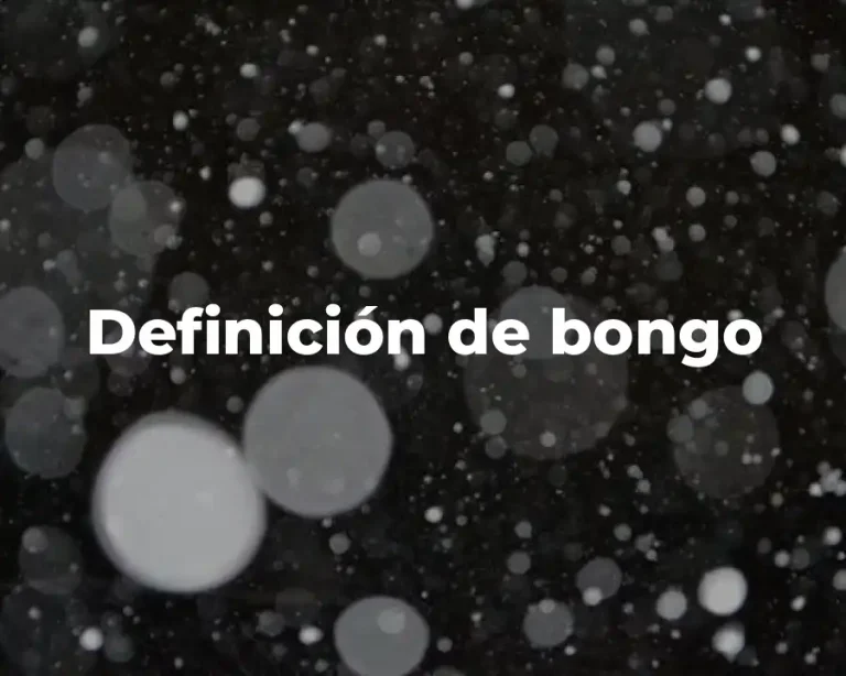 Definición de bongo