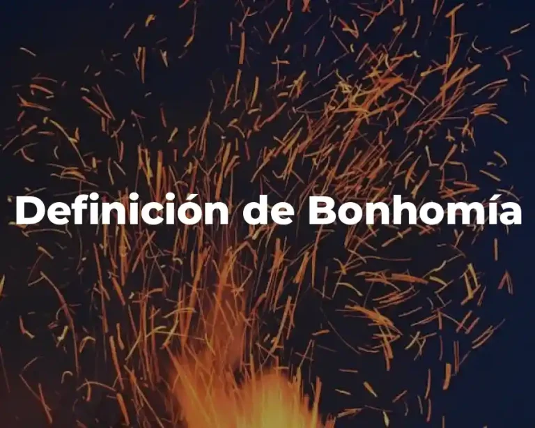 Definición de Bonhomía