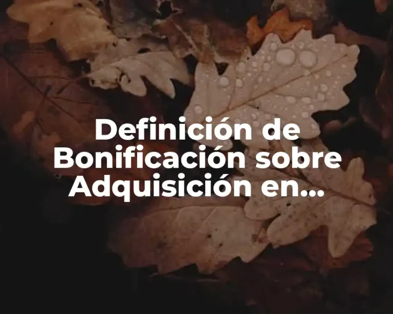 Definición de Bonificación sobre Adquisición en Contabilidad