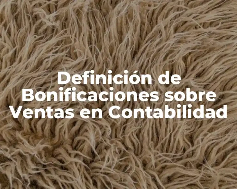 Definición de Bonificaciones sobre Ventas en Contabilidad
