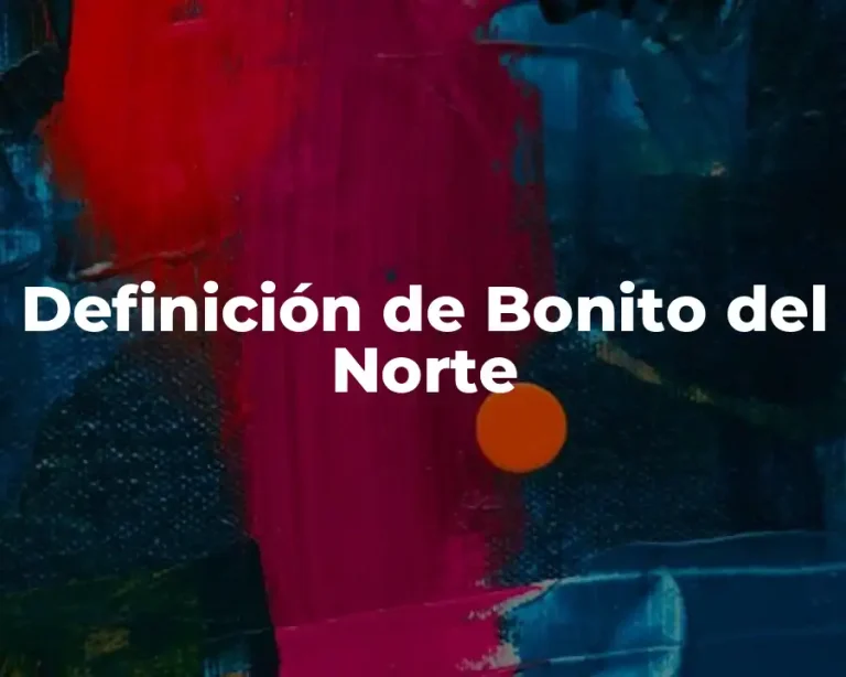 Definición de Bonito del Norte