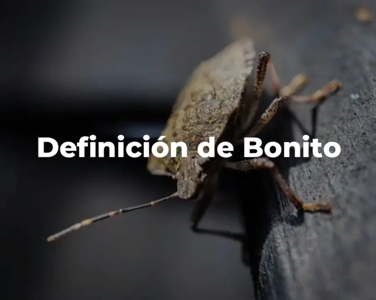 Definición de Bonito