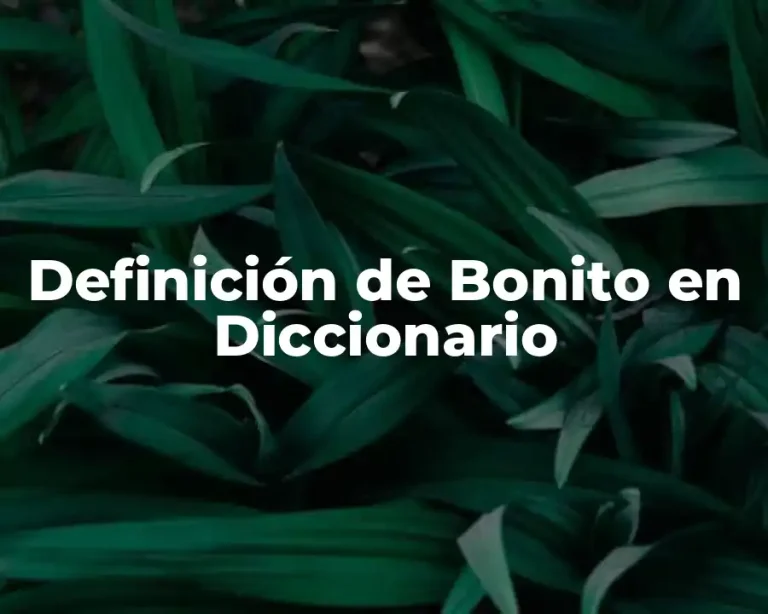 Definición de Bonito en Diccionario