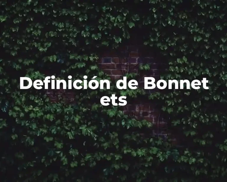 Definición de Bonnet ets