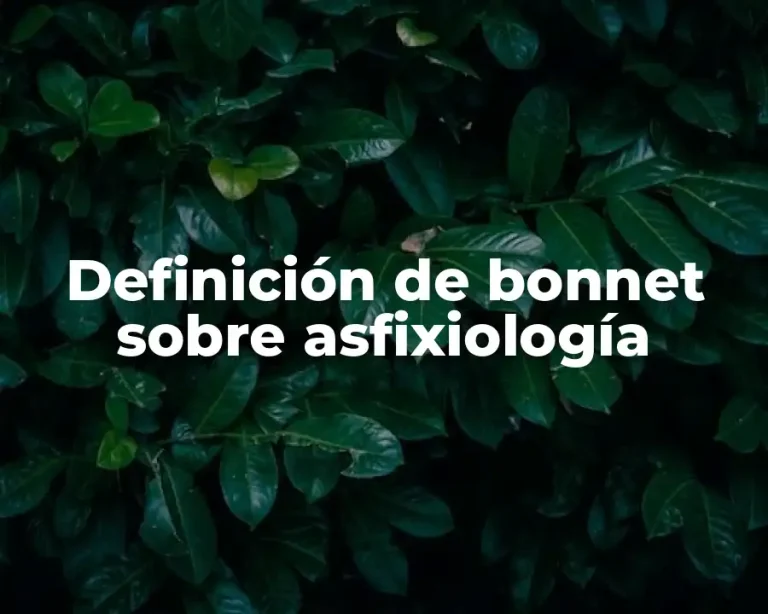 Definición de bonnet sobre asfixiología