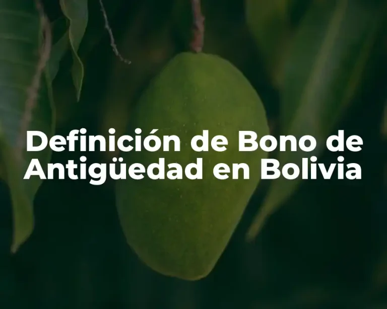 Definición de Bono de Antigüedad en Bolivia
