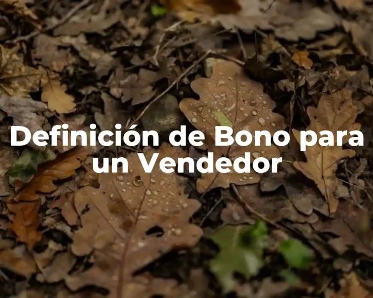 Definición de Bono para un Vendedor