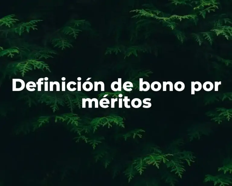 Definición de bono por méritos