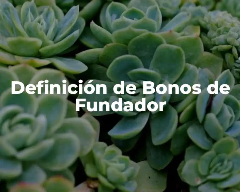 Definición de Bonos de Fundador