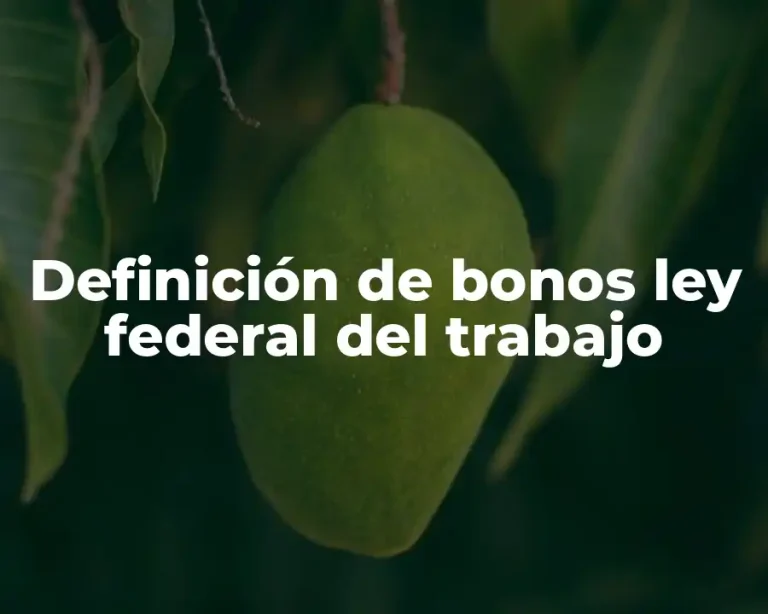 Definición de bonos ley federal del trabajo