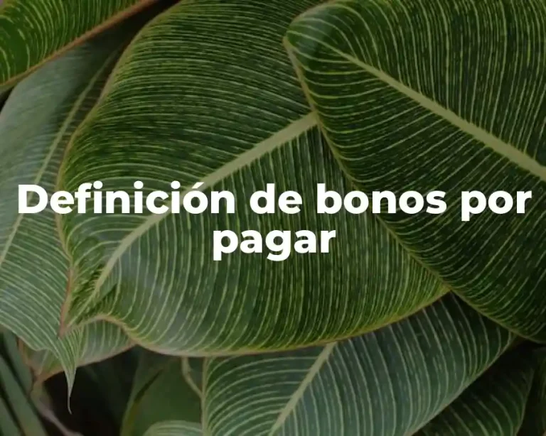 Definición de bonos por pagar