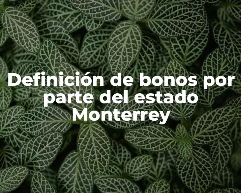 Definición de bonos por parte del estado Monterrey