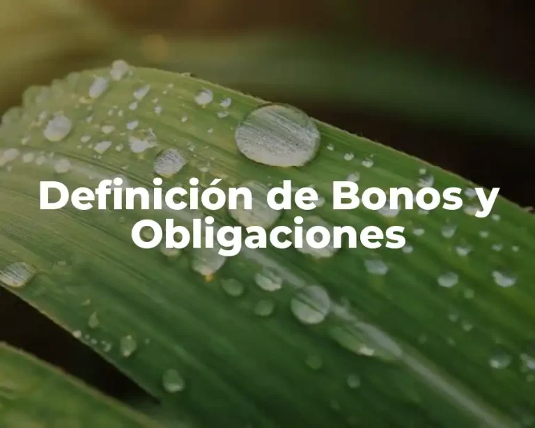 Definición de Bonos y Obligaciones