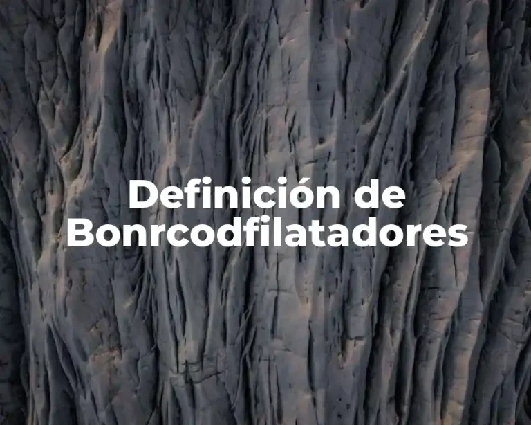 Definición de Bonrcodfilatadores