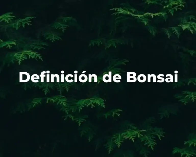 Definición de Bonsai