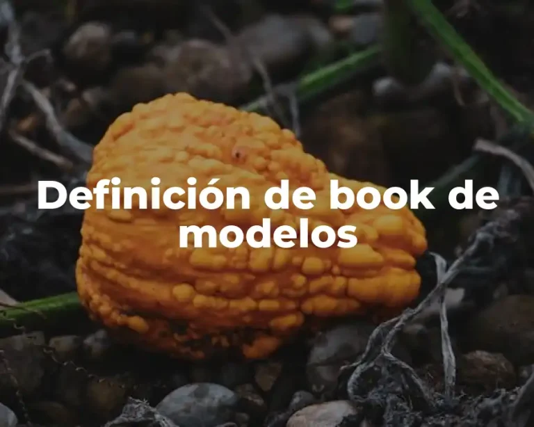 Definición de book de modelos