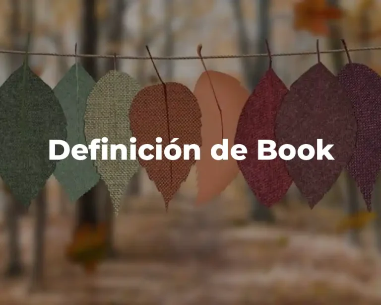 Definición de Book
