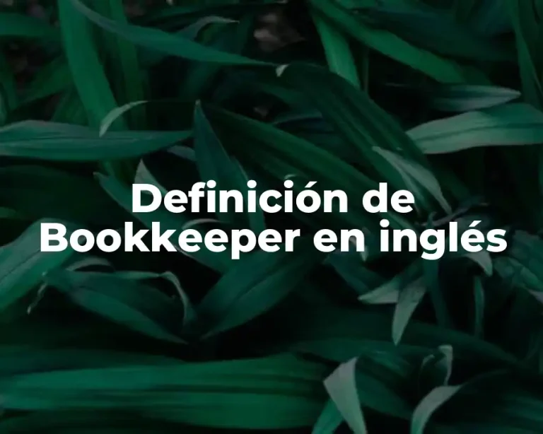 Definición de Bookkeeper en inglés