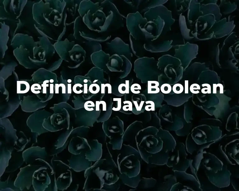 Definición de Boolean en Java