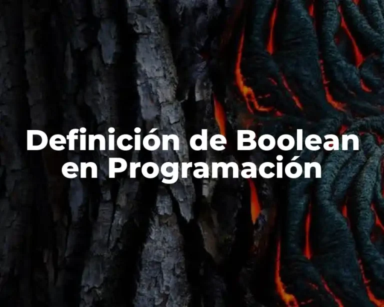Definición de Boolean en Programación