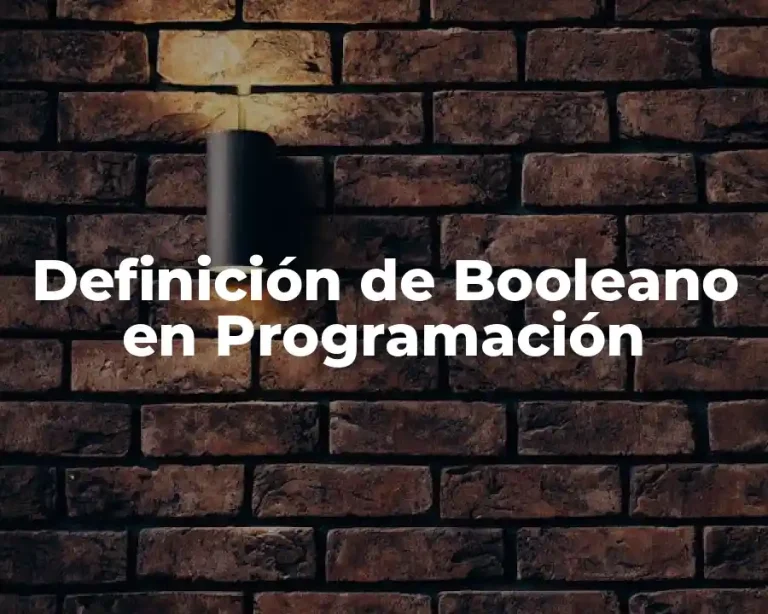 Definición de Booleano en Programación