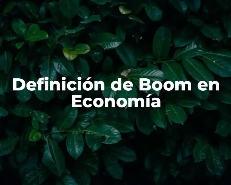 Definición de Boom en Economía