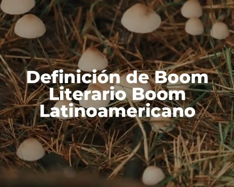 Definición de Boom Literario Boom Latinoamericano