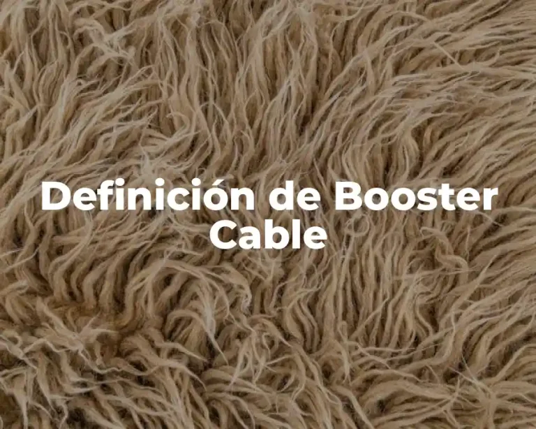 Definición de Booster Cable