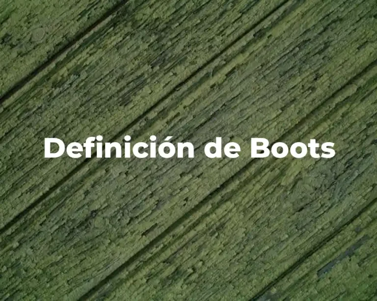Definición de Boots
