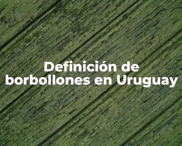 Definición de borbollones en Uruguay