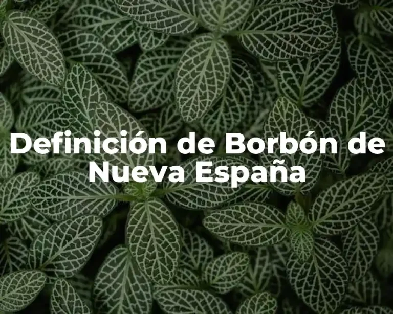 Definición de Borbón de Nueva España