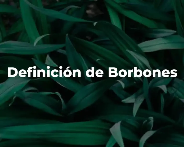 Definición de Borbones