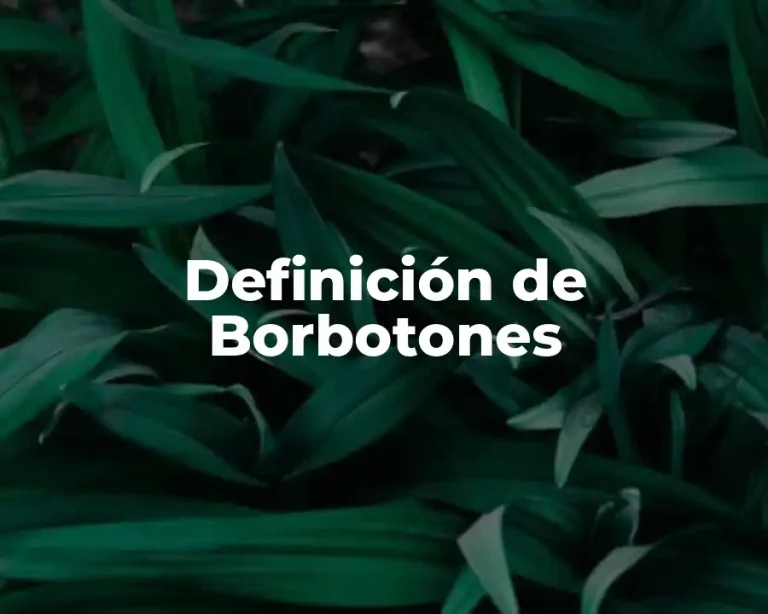 Definición de Borbotones