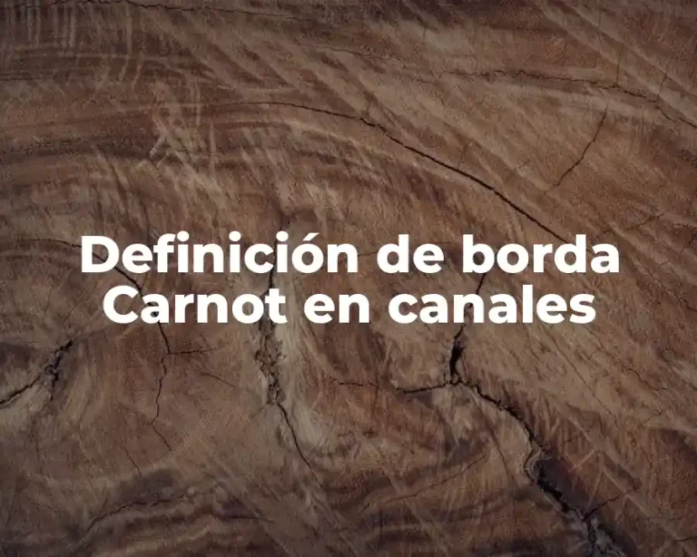 Definición de borda Carnot en canales