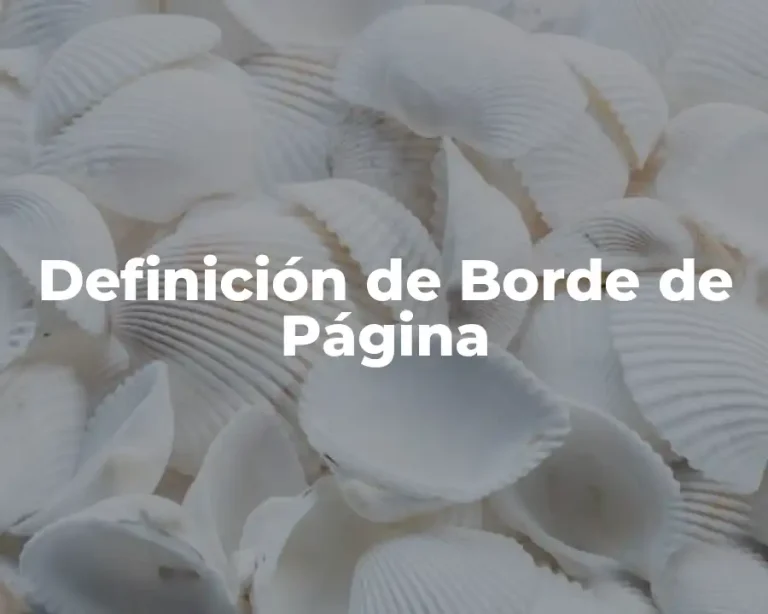 Definición de Borde de Página