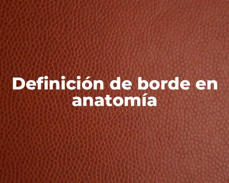 Definición de borde en anatomía