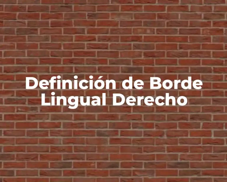 Definición de Borde Lingual Derecho