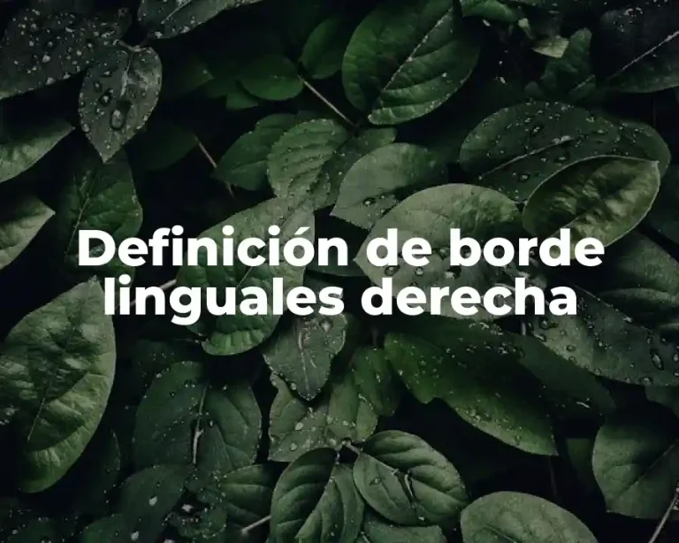 Definición de borde linguales derecha