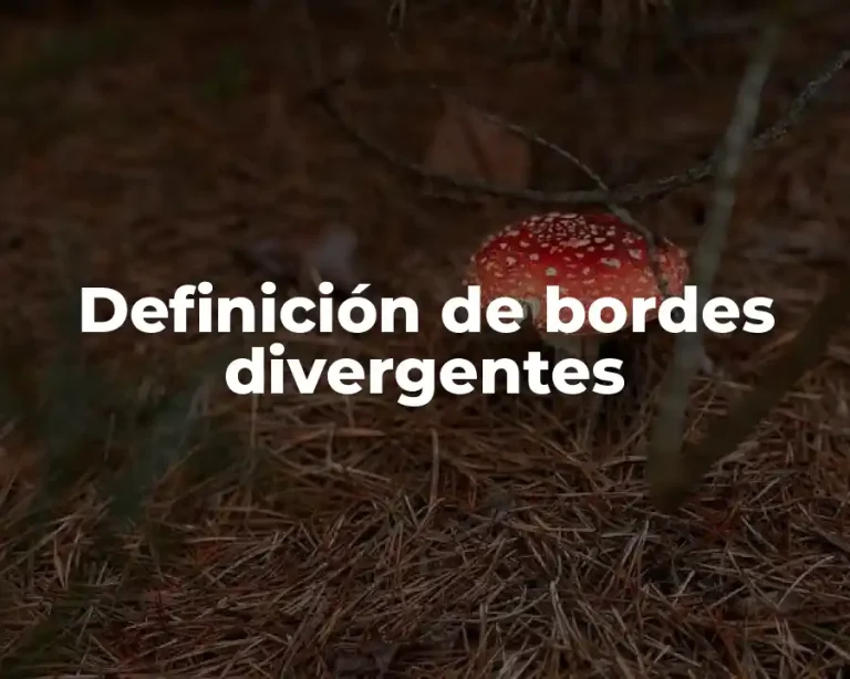 Definición de bordes divergentes