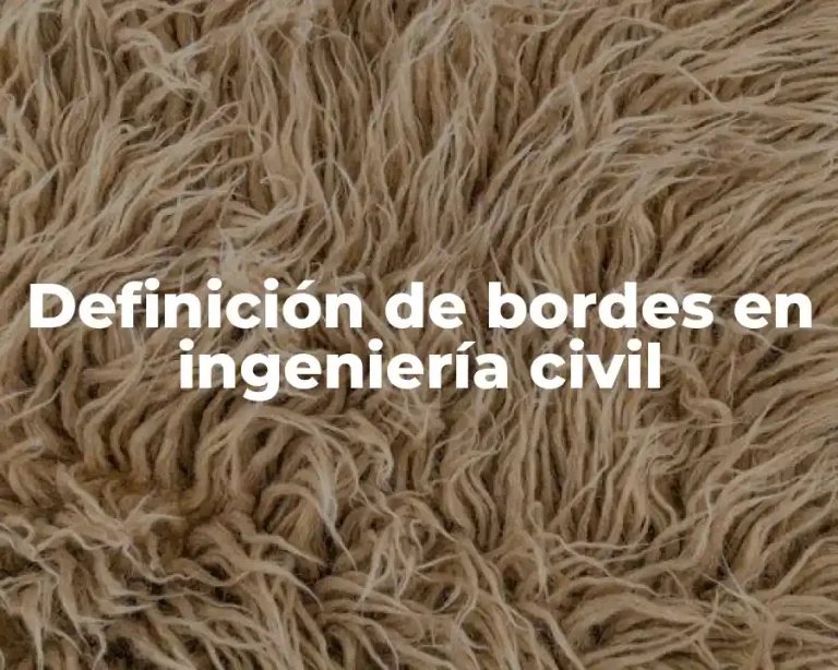 Definición de bordes en ingeniería civil