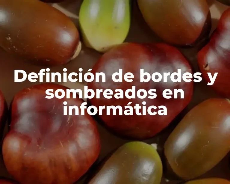 Definición de bordes y sombreados en informática