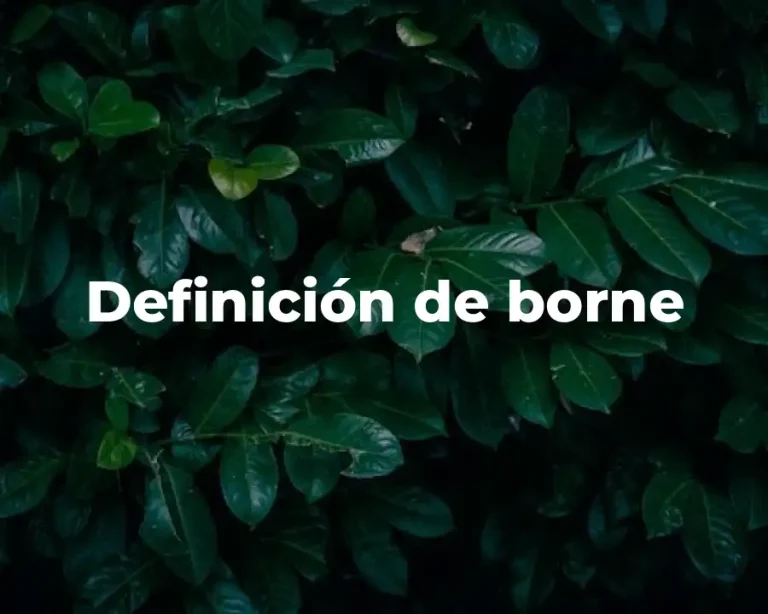 Definición de borne