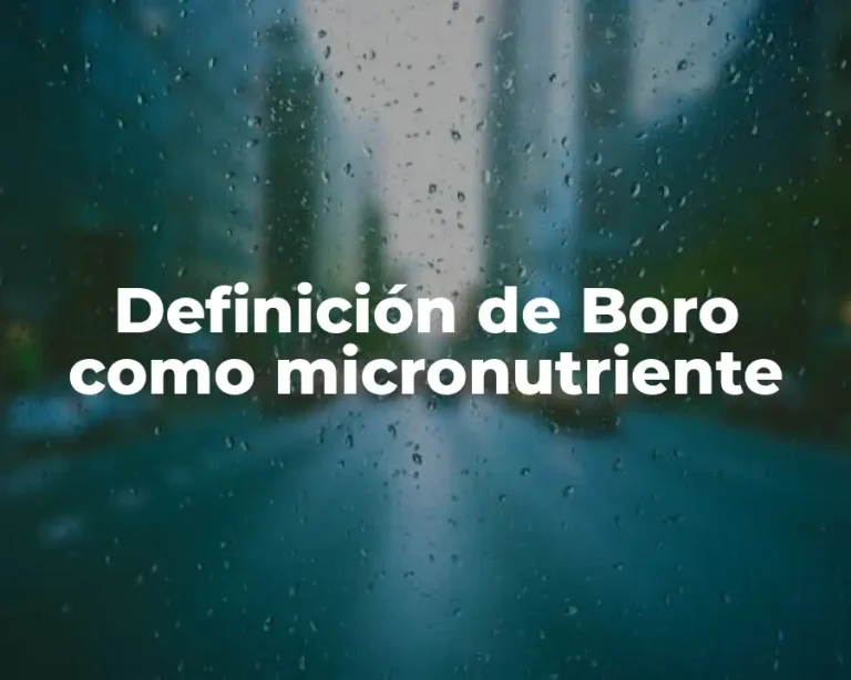 Definición de Boro como micronutriente