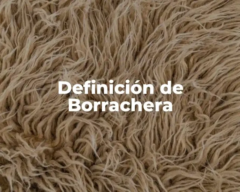 Definición de Borrachera