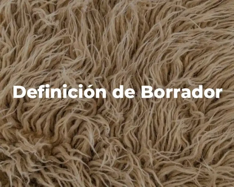 Definición de Borrador