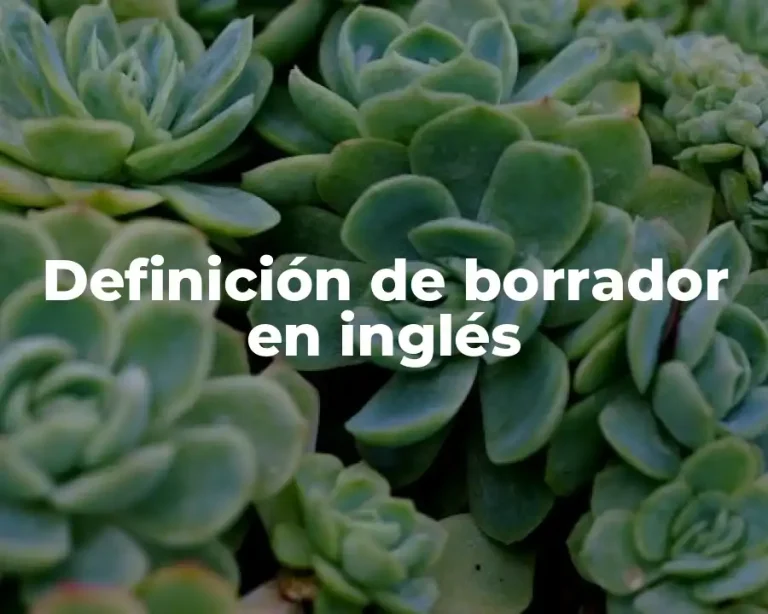 Definición de borrador en inglés